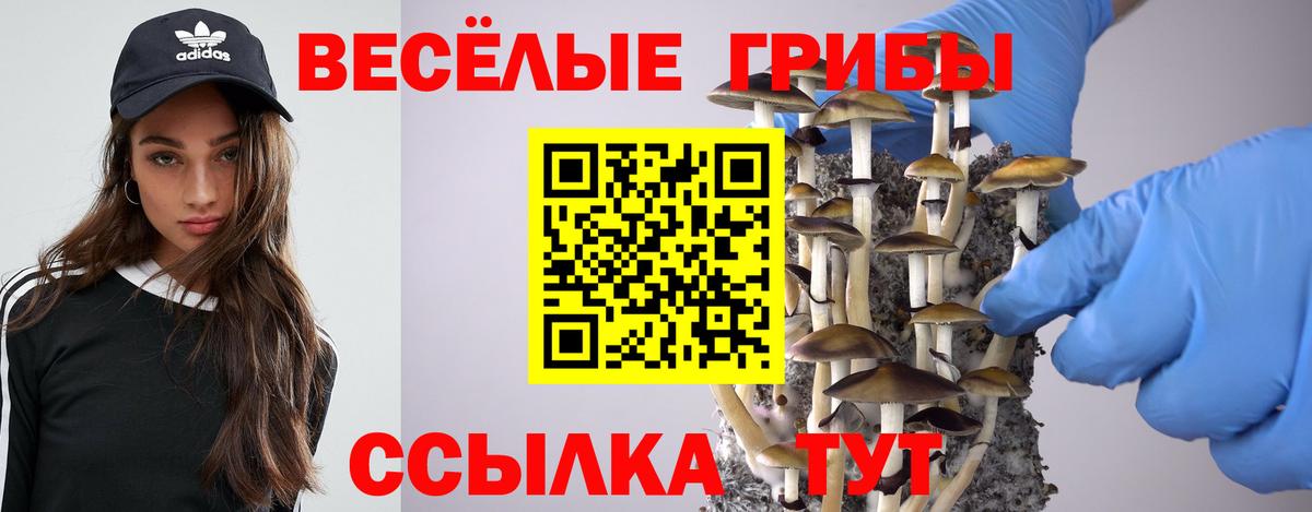 Псилоцибиновые грибы Magic Shrooms Миллерово